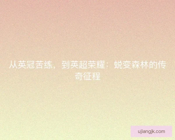 从英冠苦练，到英超荣耀：蜕变森林的传奇征程